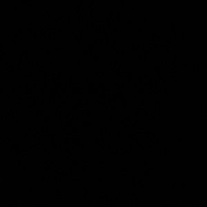 Meet your Posher, Dan